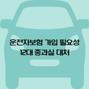 운전자보험