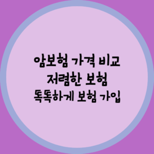 암보험비교