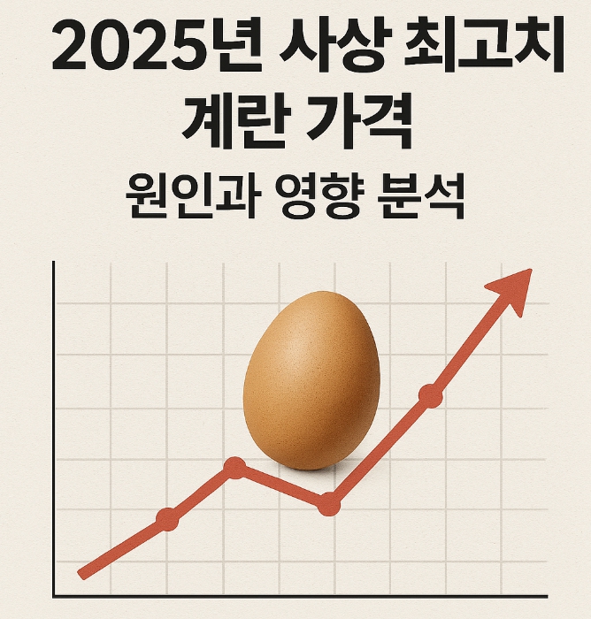 2025년 사상 최고치 계란 가격