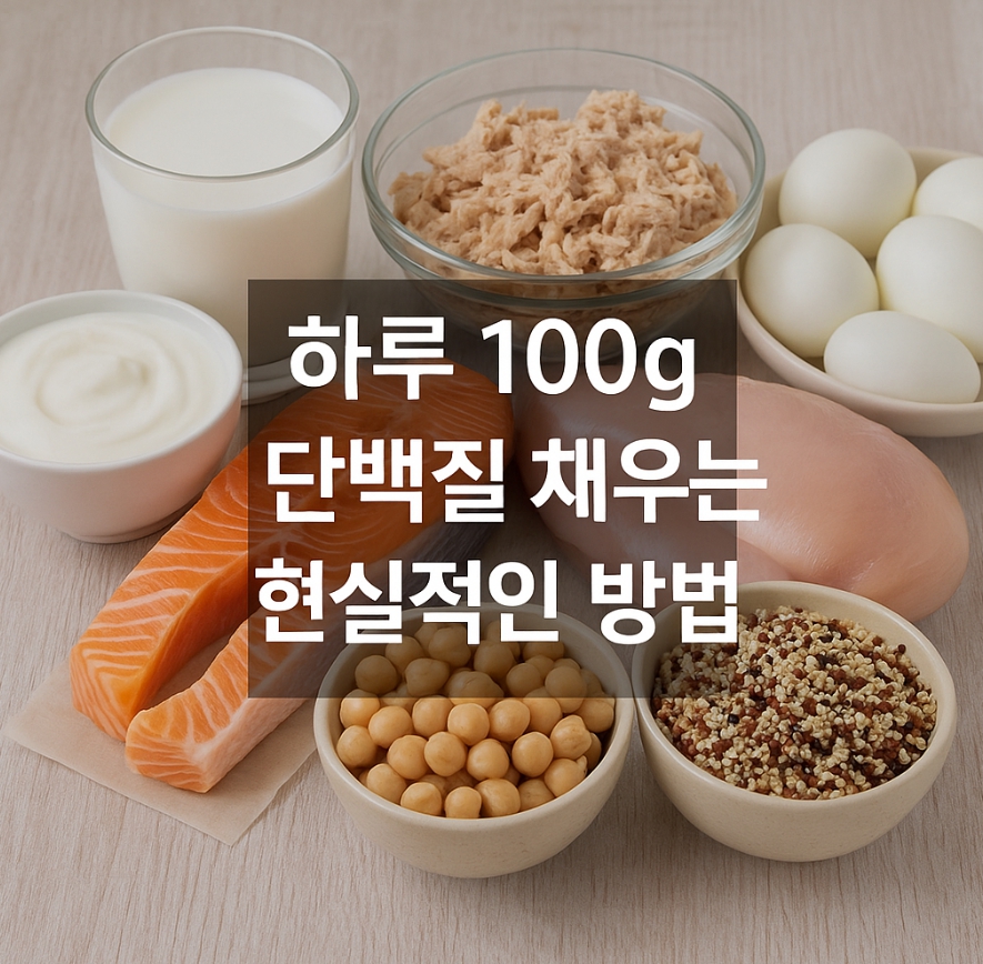 단백질 100g 채우기