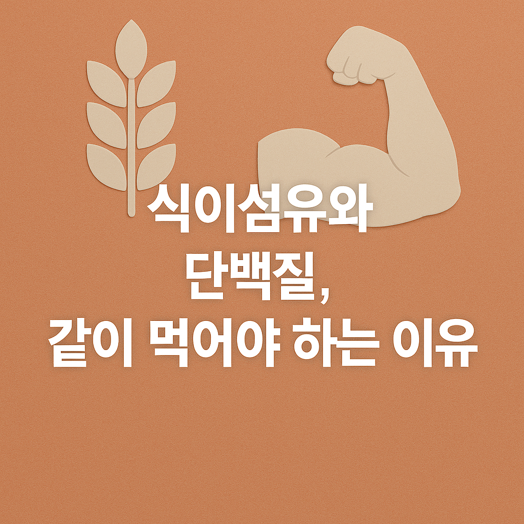 식이섬유+단백질, 왜 따로 먹고 있나요? 건강한 식단의 핵심 조합법
