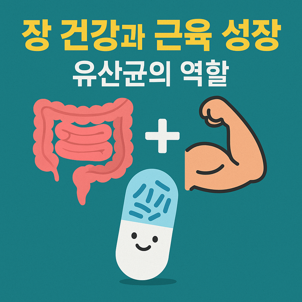 장 건강이 근육 성장을 좌우한다? 유산균의 숨겨진 진실