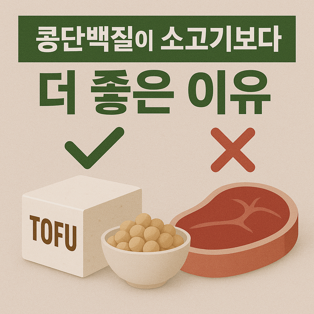 콩단백질 vs 소고기